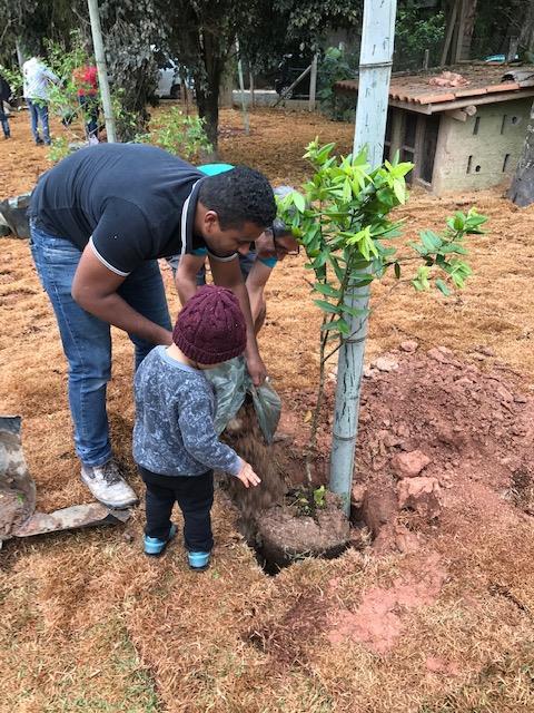 Barueri: Dia da Árvore promove projetos ambientais e plantio de mudas
