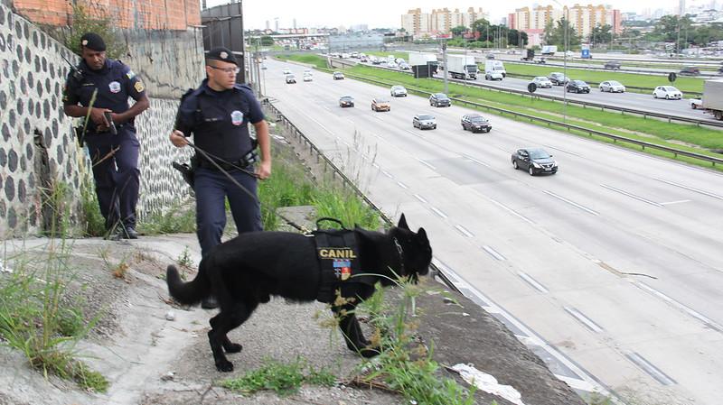 Operação entre forças de segurança garante mais proteção na rodovia Castelo Branco