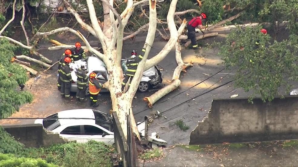 Chuva provoca alagamentos e derruba árvores em SP; ônibus e carros são atingidos