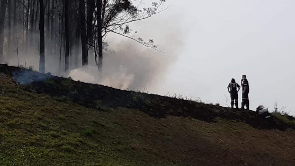 Avião cai em área de mata em Piracicaba