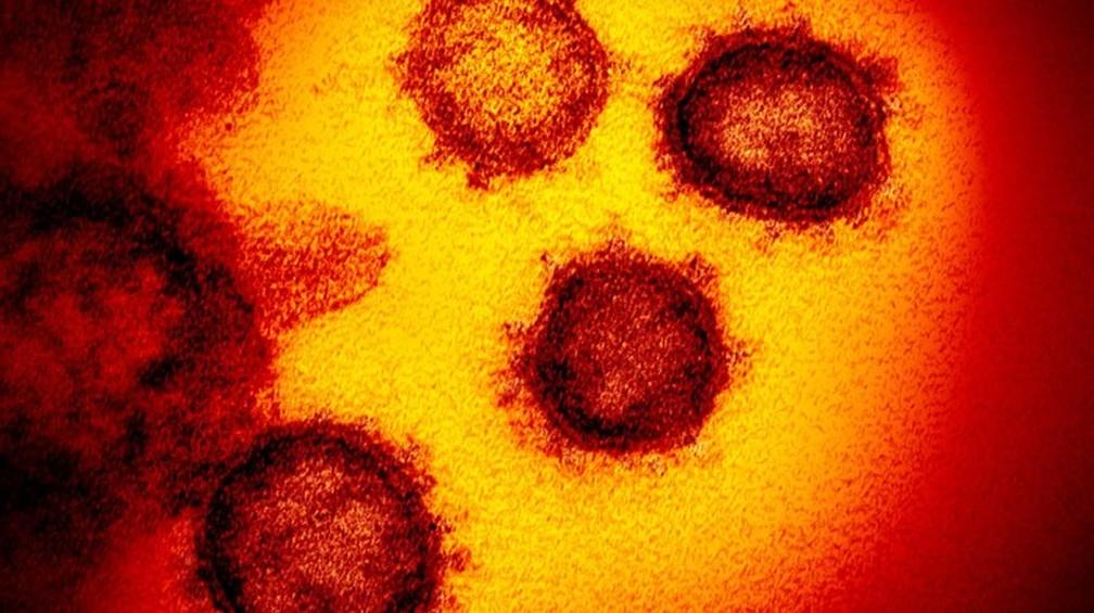 Variante ômicron do coronavírus é 'muito transmissível', mas mundo está mais bem-preparado com vacinas