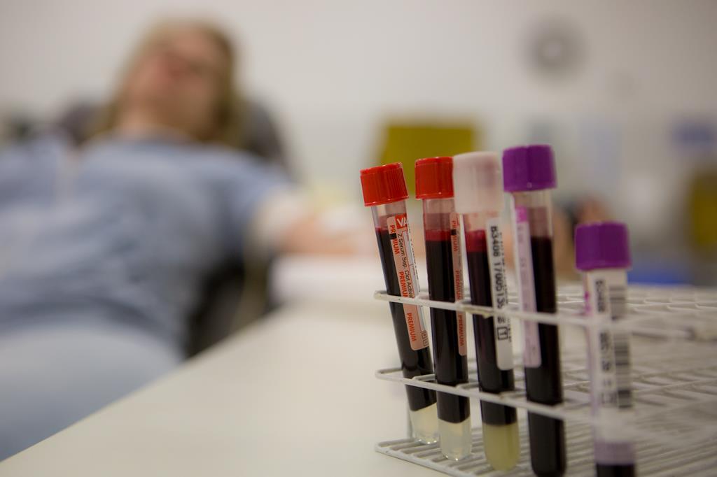 Doe sangue e salve vidas neste feriado