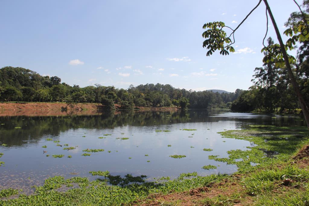 Sema inicia limpeza da lagoa do Parque Ecológico de Barueri
