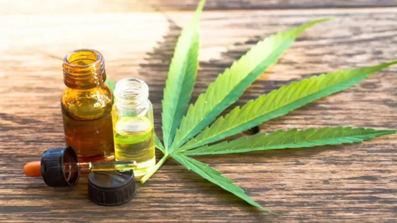 STJ autoriza paciente a cultivar cannabis para fins medicinais