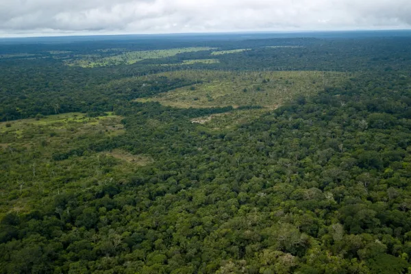 Ibama define nova prioridade para enfrentar perdas na biodiversidade e a crise climática
