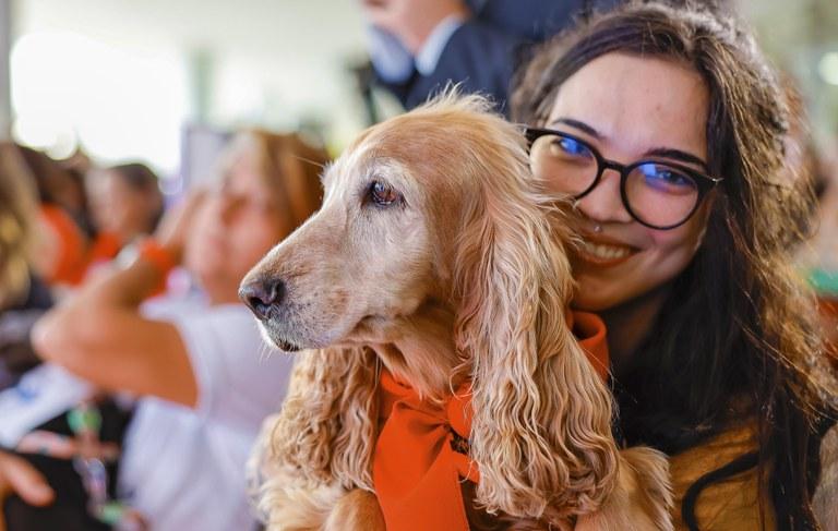 SinPatinhas é voluntário, gratuito e sem imposto