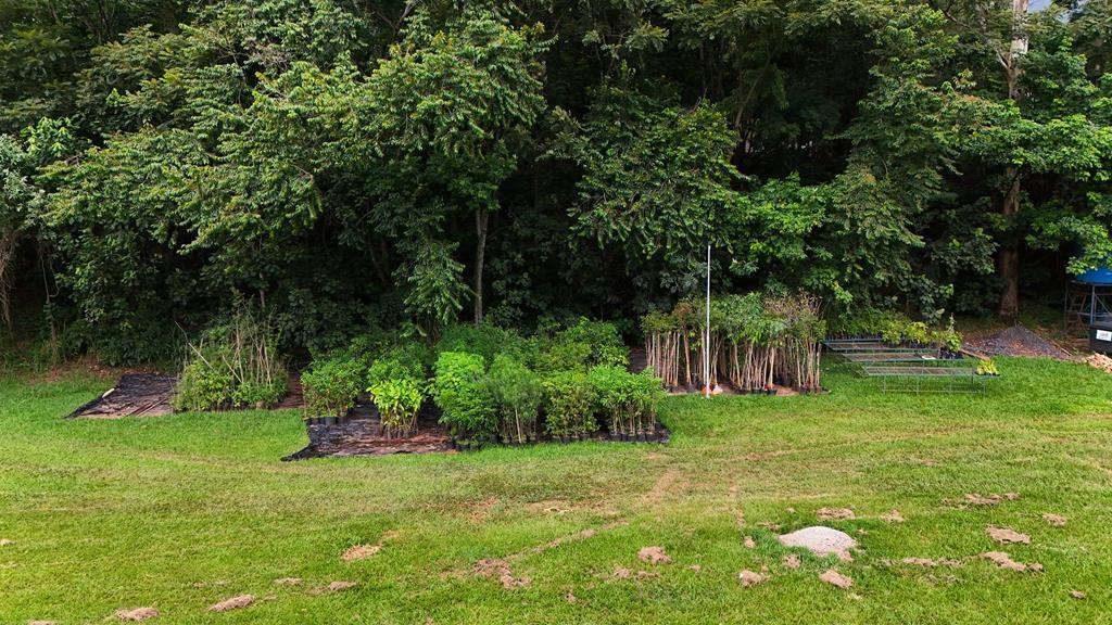 Barueri celebra o Dia Mundial do Meio Ambiente com programação especial
