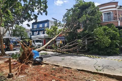 Ciclone deixa 2 milhões de clientes sem energia em São Paulo