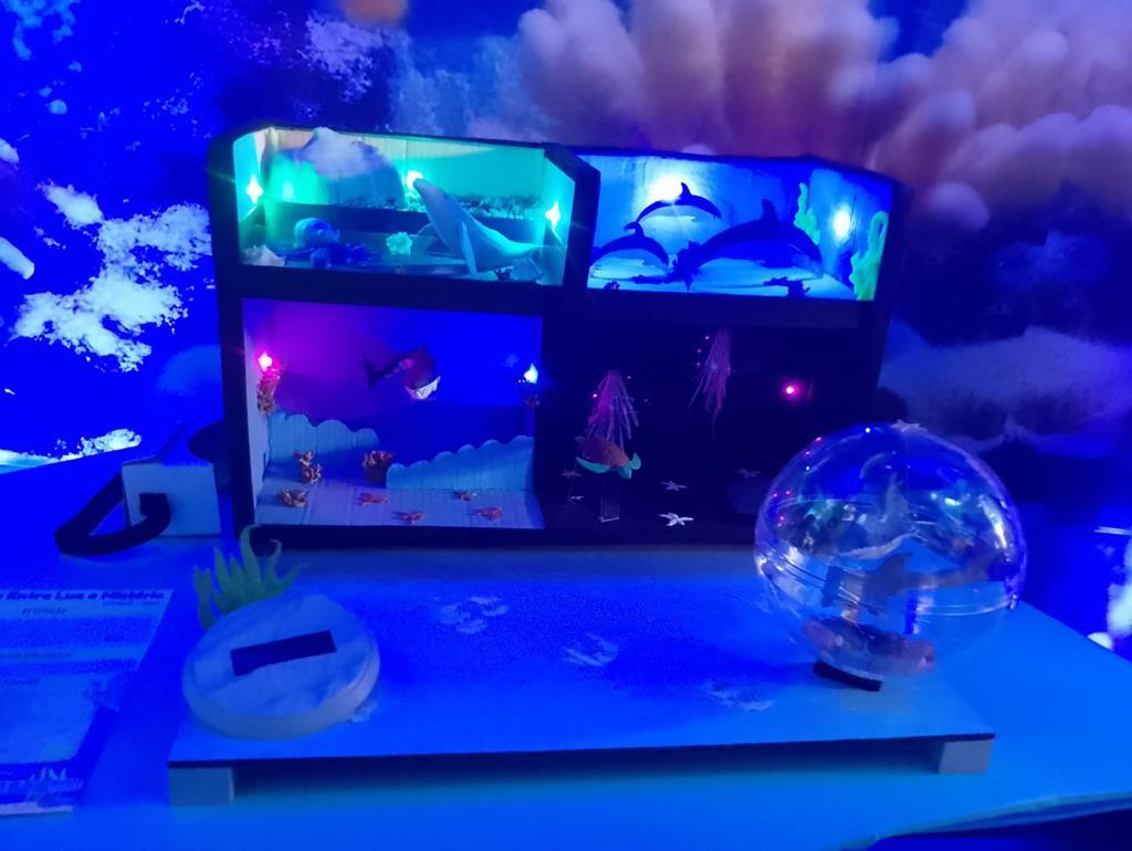 Festival WIT e Salas Maker em Barueri destaca inovação e projetos voltados à proteção dos oceanos